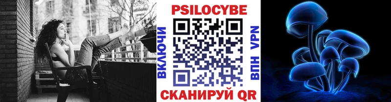 Псилоцибиновые грибы мицелий  omg зеркало  Кимры  купить закладку 